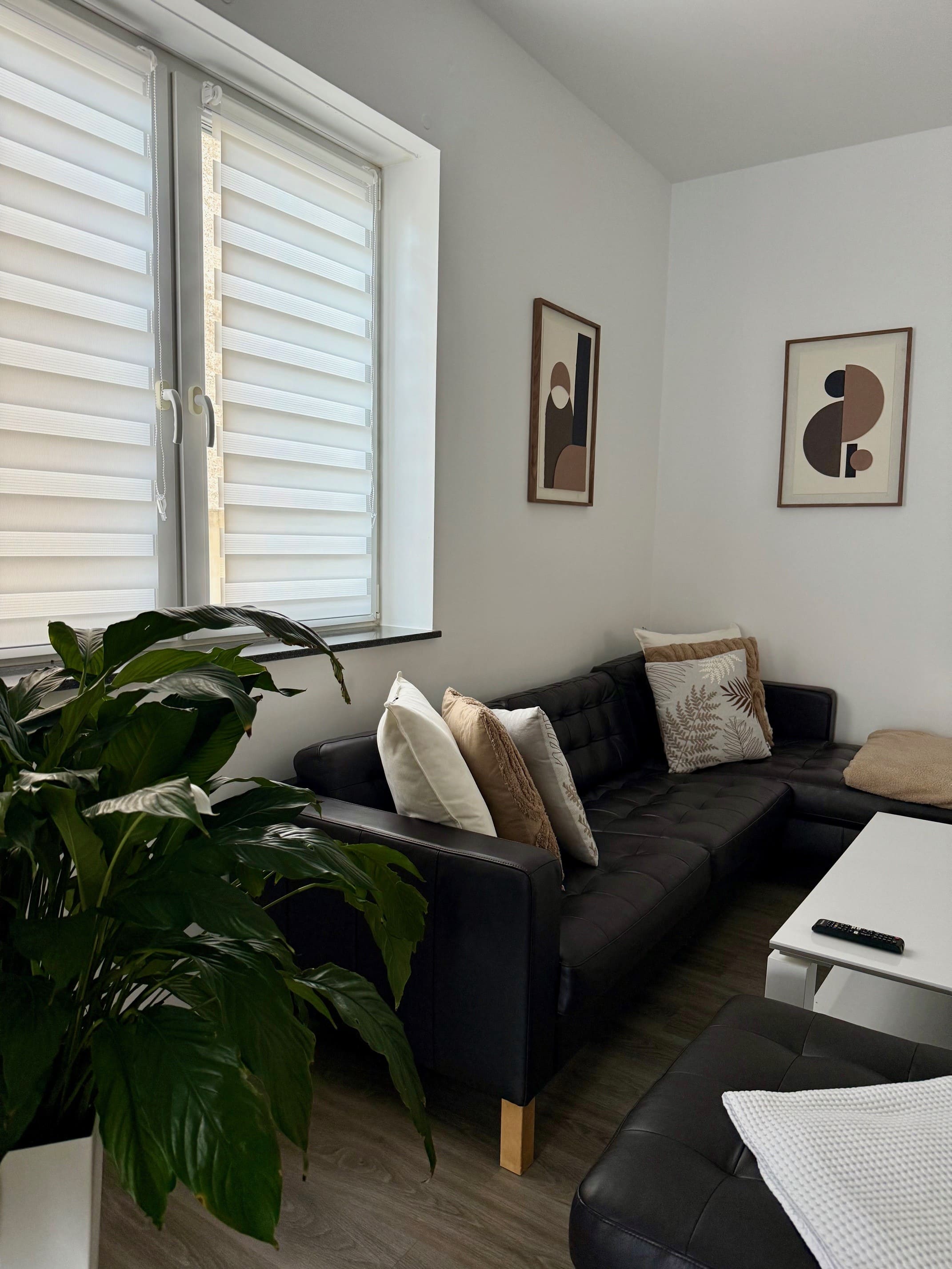 Apartment 005